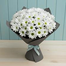 Букет цветов из:  Хризантемы #REPLACE_PRED# Новолуговом