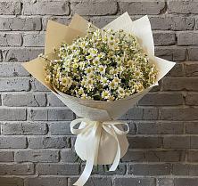 Букет цветов из:  Ромашки #REPLACE_PRED# Новолуговом