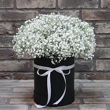Цветочная композиция из Гипсофила в шляпной коробке в Новолуговом