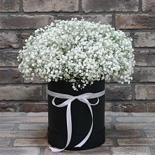 Цветочная композиция из Гипсофила в шляпной коробке в Новолуговом
