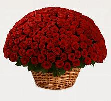 Премиум букет из: Розы в Новолуговом