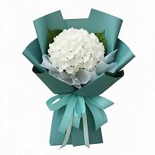 Букет цветов из:  Гортензия #REPLACE_PRED# Новолуговом